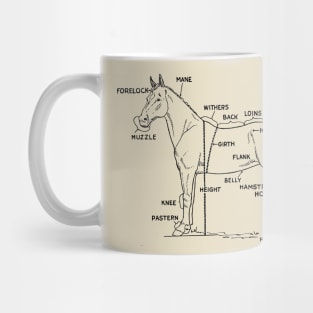 Horse anatomy Mug